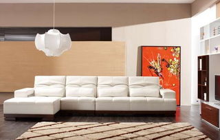 江門健威家居 匠心品質點亮西江明珠，一站式家居方案引領肇慶新生活